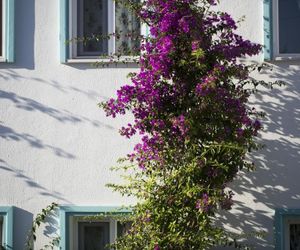 Istanbul Hotel Bodrum Golturkbuku Turkey