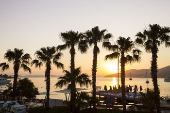 صورة الفندق 1