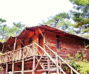 Kadirs Top Tree Houses Olympos Turkey