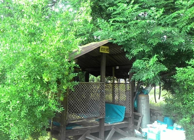 صورة الفندق 1