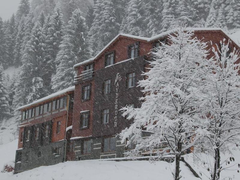 Hotel Photo 24
