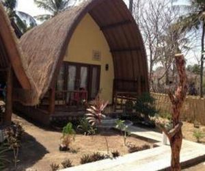Turtle Bungalow Gili Meno Indonesia