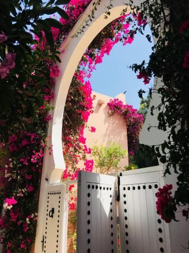 صورة الفندق 17