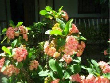 صورة الفندق 8