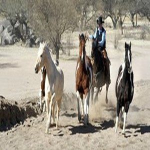 صورة الفندق 20