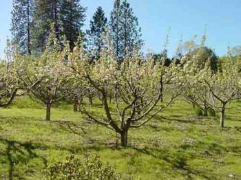 صورة الفندق 17
