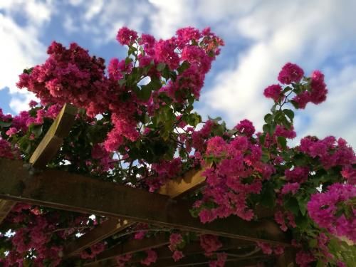 صورة الفندق 15