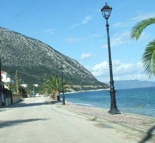 صورة الفندق 24