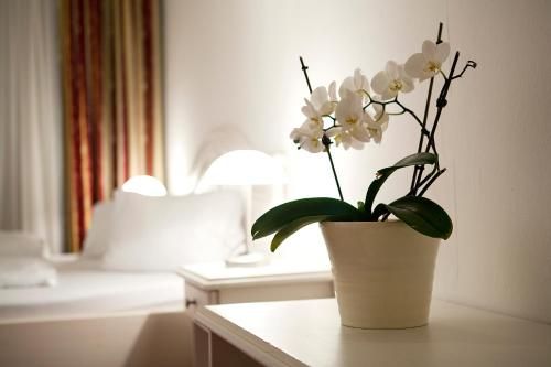 صورة الفندق 2