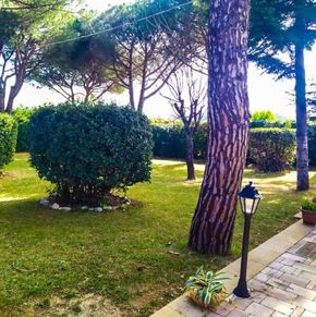 NearBy Hotel