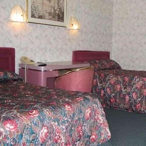 Photo of Red Carpet Inn Berlin