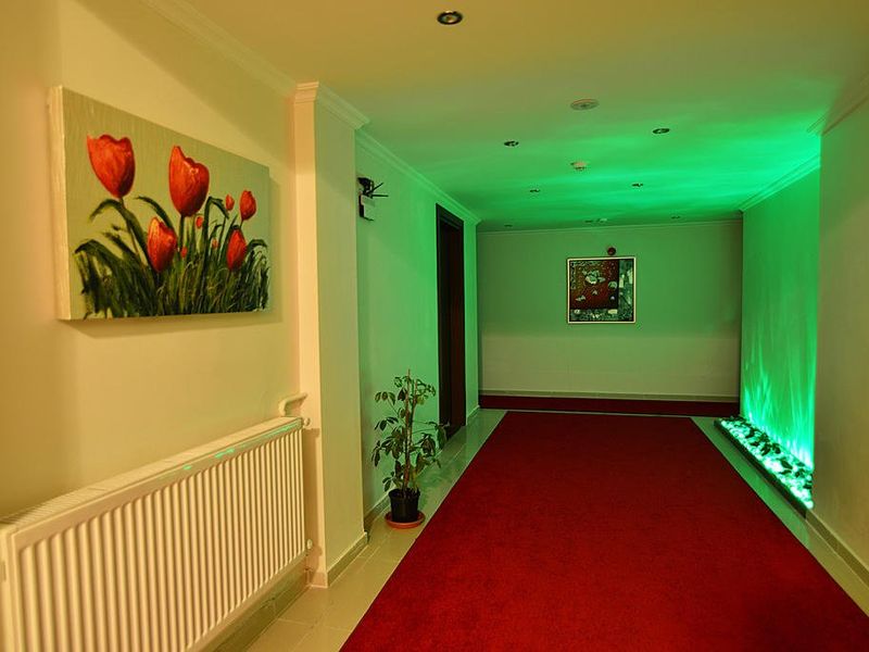 Hotel Photo 11