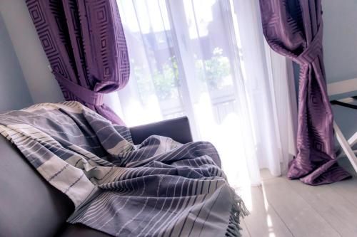 صورة الفندق 1