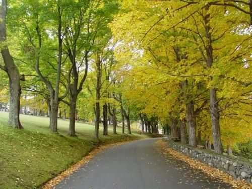 صورة الفندق 21