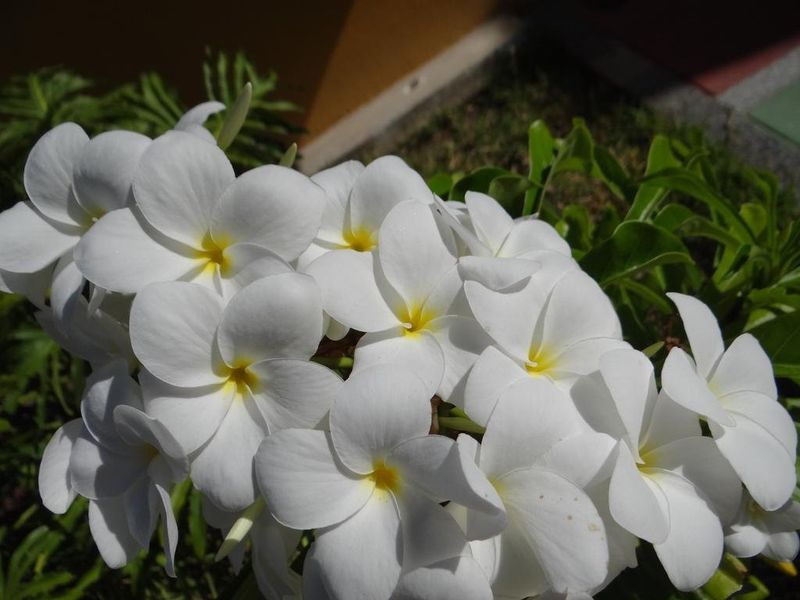 صورة الفندق 17
