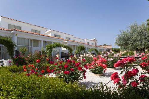 صورة الفندق 1