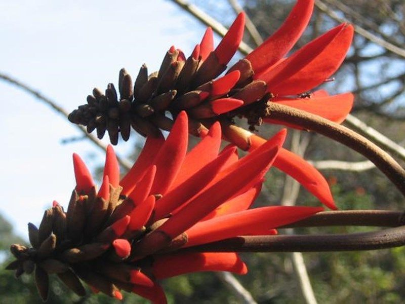 صورة الفندق 17