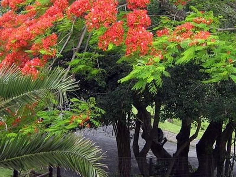 صورة الفندق 18