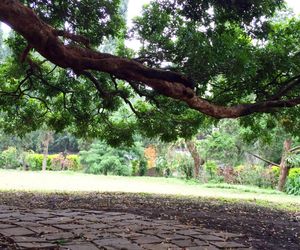 Oude Bandung Guesthouse Bandung Indonesia