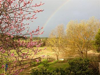 صورة الفندق 17