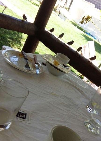 صورة الفندق 16