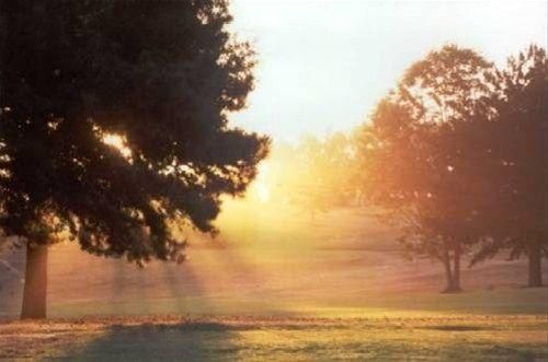 صورة الفندق 8
