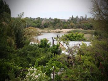 صورة الفندق 22