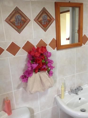 صورة الفندق 9