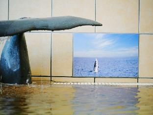 صورة الفندق 15