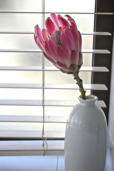 صورة الفندق 14