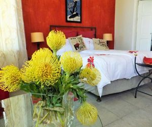 Cape Valley Manor Guesthouse Paarl South Africa