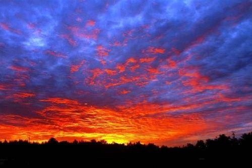 صورة الفندق 20