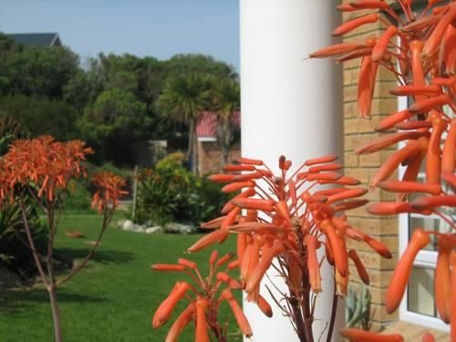 صورة الفندق 22