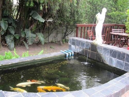 صورة الفندق 6