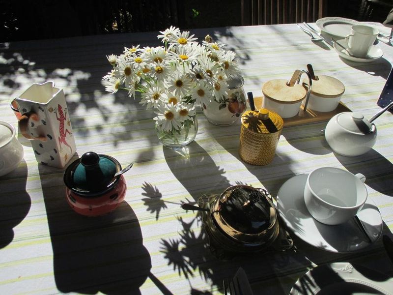 صورة الفندق 6