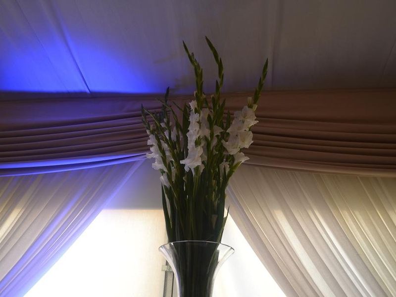 صورة الفندق 8