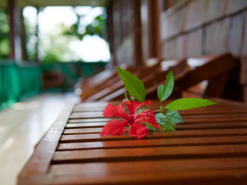 صورة الفندق 6