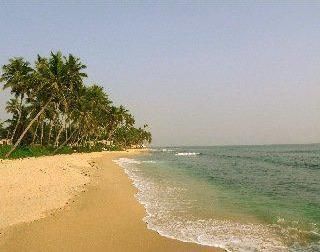 صورة الفندق 20