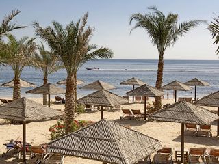 Фото отеля Miramar Al Aqah Beach Resort