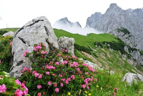 صورة الفندق 19