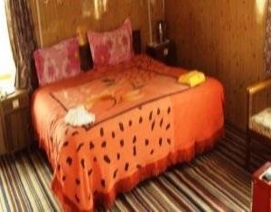 Amarnath Kingsleay Hotel Pahalgam India