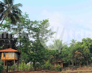 Atithi Parinay Home Stay Ganpatipule India