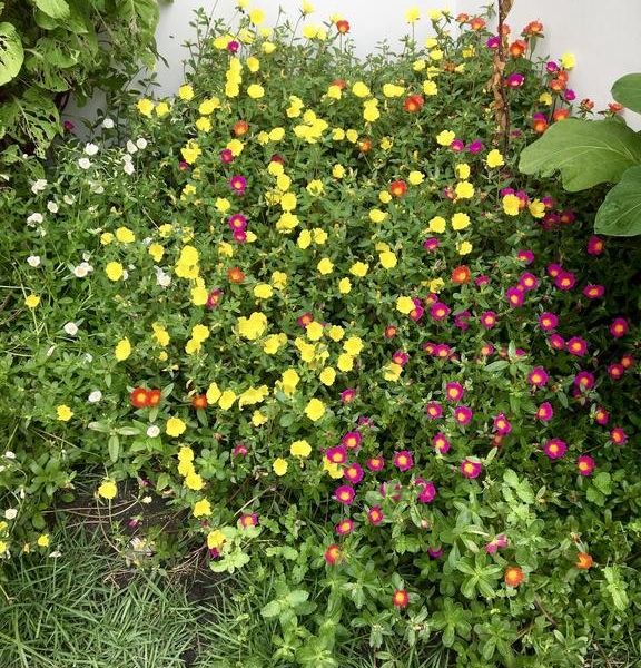 صورة الفندق 21