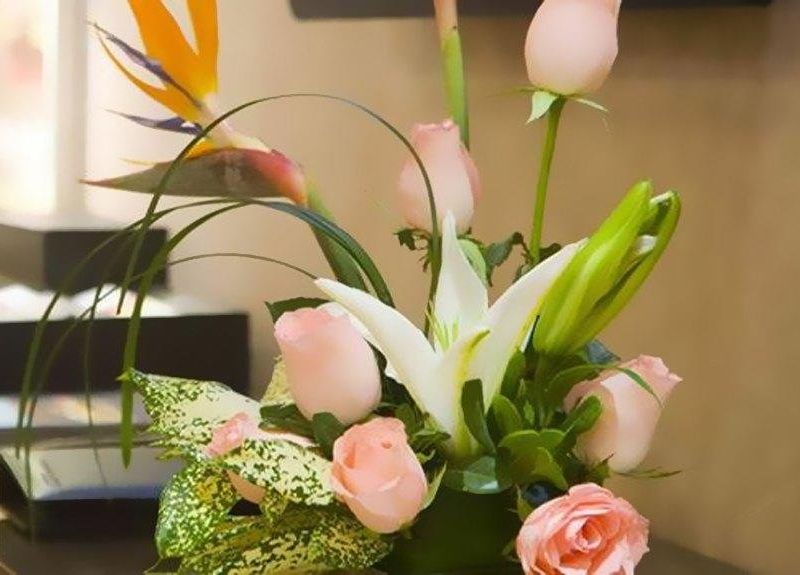 صورة الفندق 15