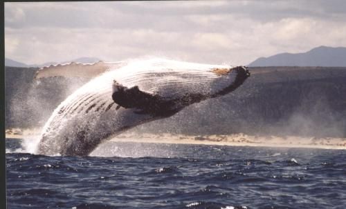 صورة الفندق 19