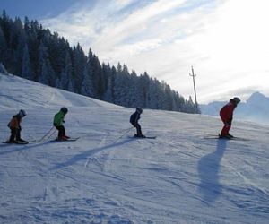 FERIENHÜTTE SONNALM Ramsau Austria