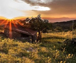 Fattoria La Tavernuzza Bagno a Ripoli Italy