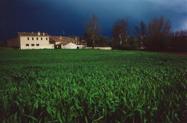 صورة الفندق 21