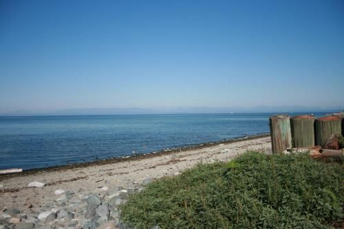 صورة الفندق 6