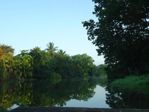 صورة الفندق 6